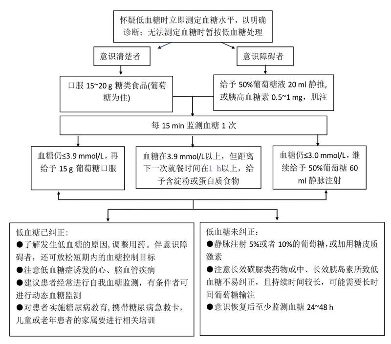 低血糖诊治流程