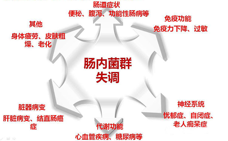 但是这种平衡在特殊情况下,可以被打破,造成肠道菌群失调,表现为肠道