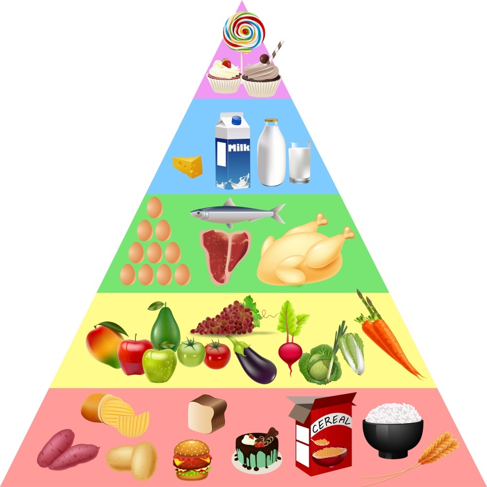 食物金字塔5层图片