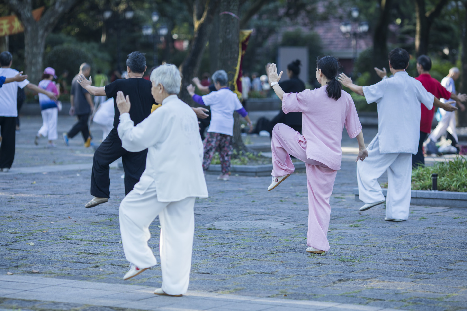 摄图网_500631513_banner_中国传统太极的老年生活 （企业商用）.jpg